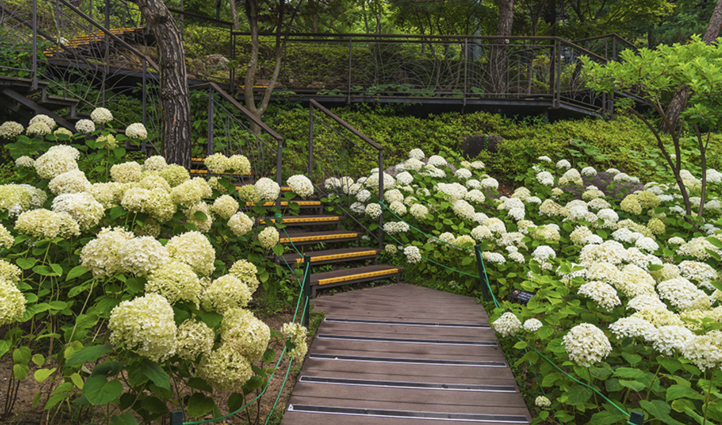 화담숲 화담채 모노레일 사전 예약, 할인받고 예매 하기