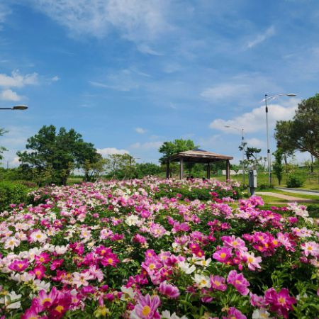삼성현역사문화공원