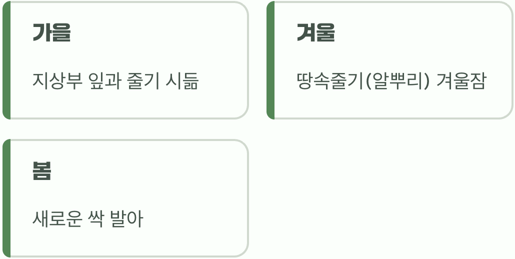 겨울, 그리고 새로운 약속