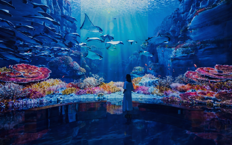 파주 뮤지엄헤이