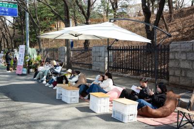 여의도 벚꽃축제