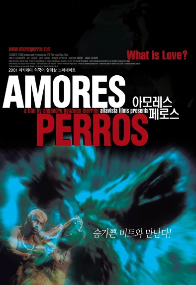 [🎬영화 리뷰] 아모레스 페로스 (Amores Perros, 2000) - 더 가디언 선정 21세기 100대 영화 52위