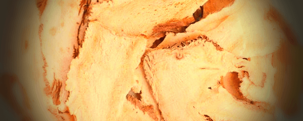 구릿대-뿌리-사진