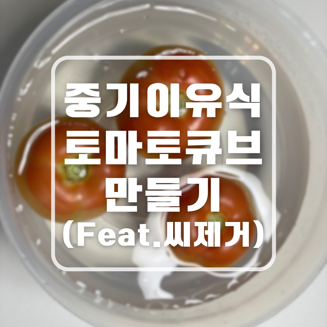중기 후기 이유식 토마토 큐브