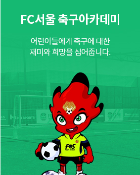 FC서울 감독&amp;#44;선수&amp;#44;팀스타일&amp;#44;일정&amp;#44; 서울상암월드컵 경기장