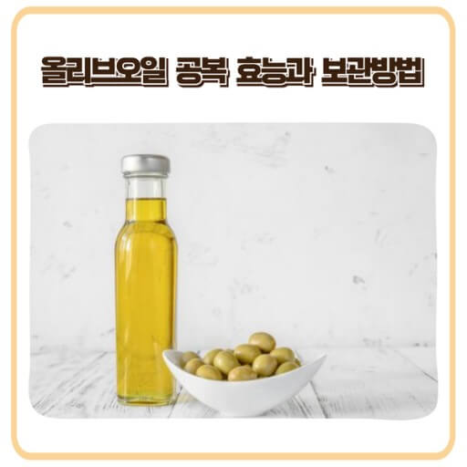 올리브 오일 보관법