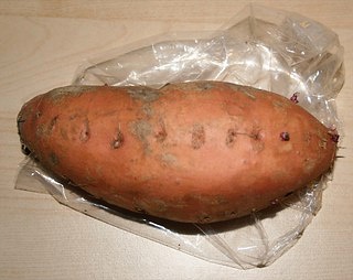 근육량 늘리는 방법