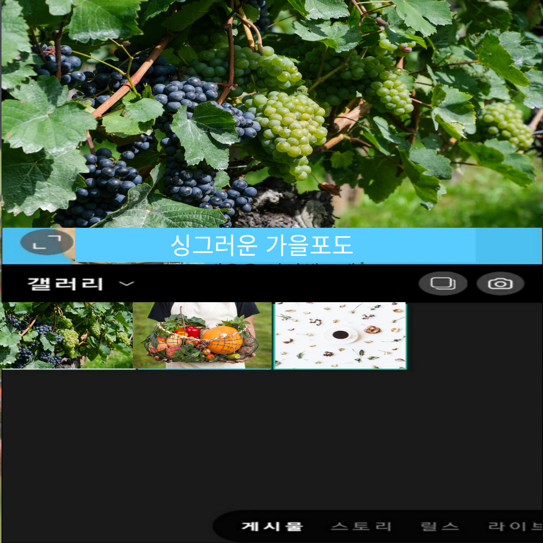인스타그램 사진올리기 오류 해결법