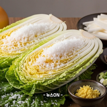 절임배추 20kg 몇포기
