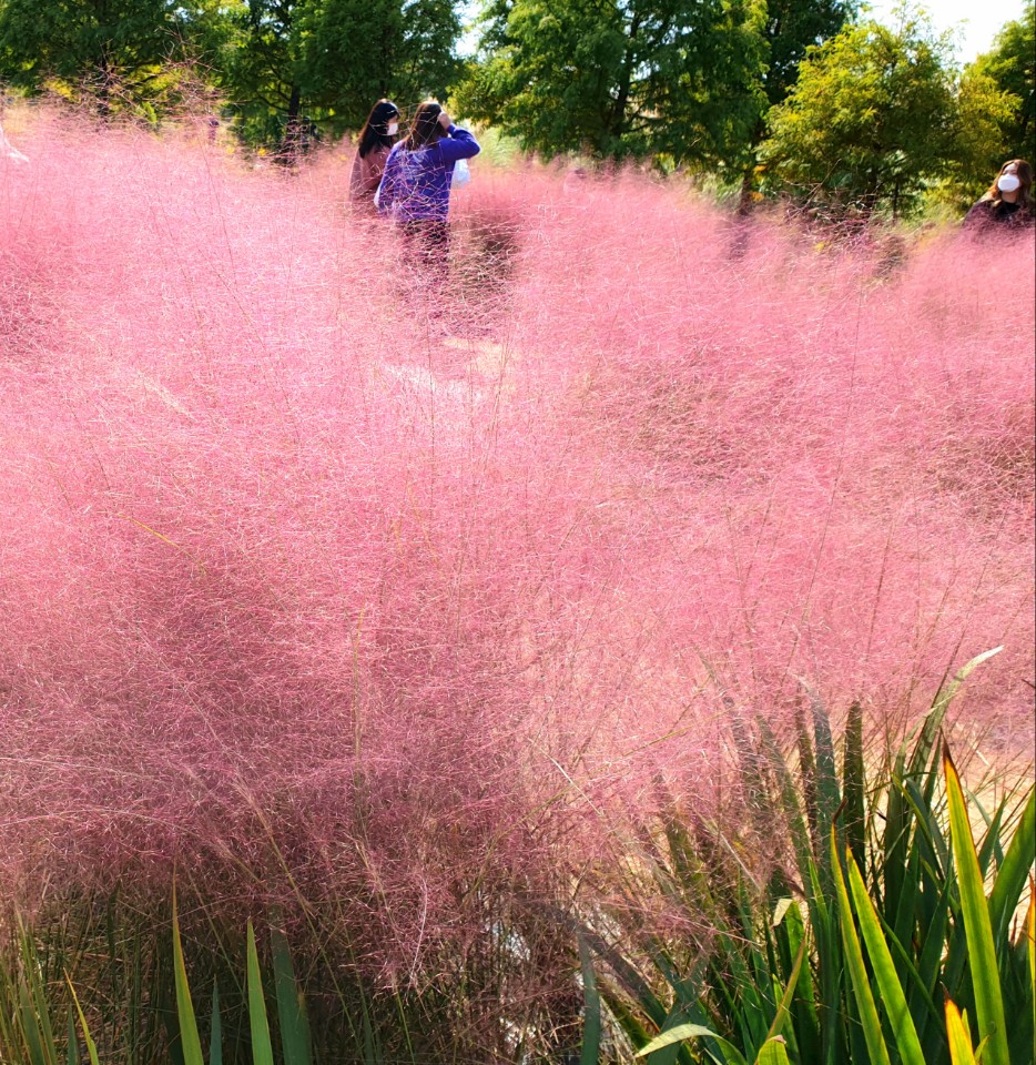 태안반도 추천여행지