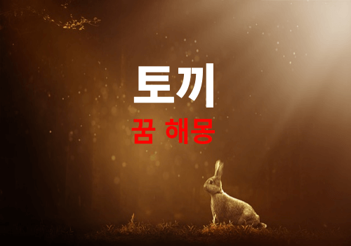 꿈속의 황색 토끼 모습