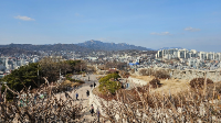 서울 가볼만한 곳 낙산공원
