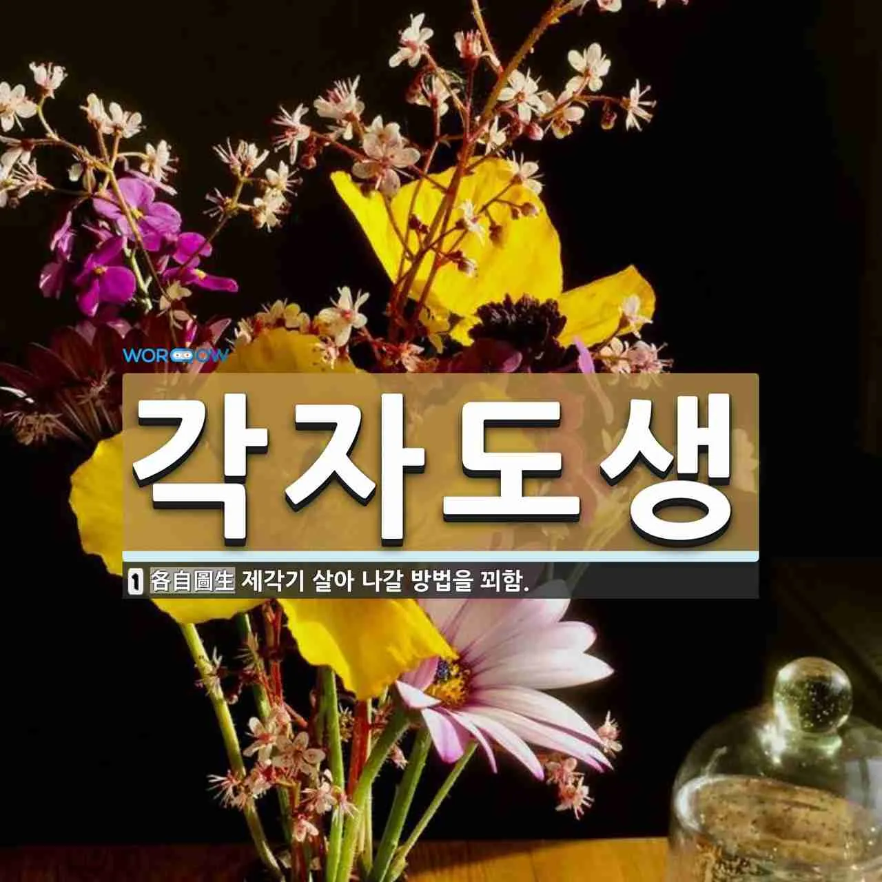 각자도생 뜻 유래 한자 비슷한 말 예문 영어 속담 반대말_4