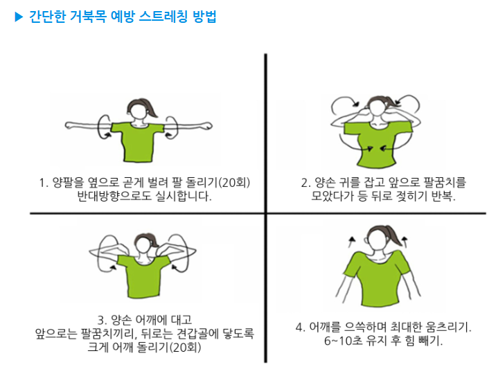 기능회복 운동