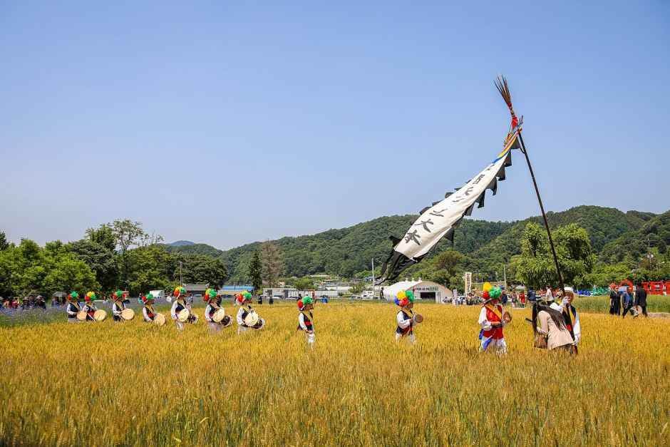 양평밀축제