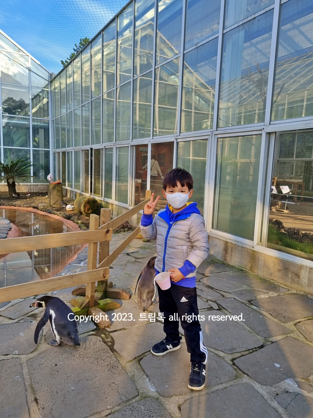 펭귄이 유리온싱에서 돌아다니고 있다