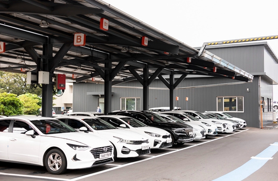 렌터카 이용 및 차량 대여