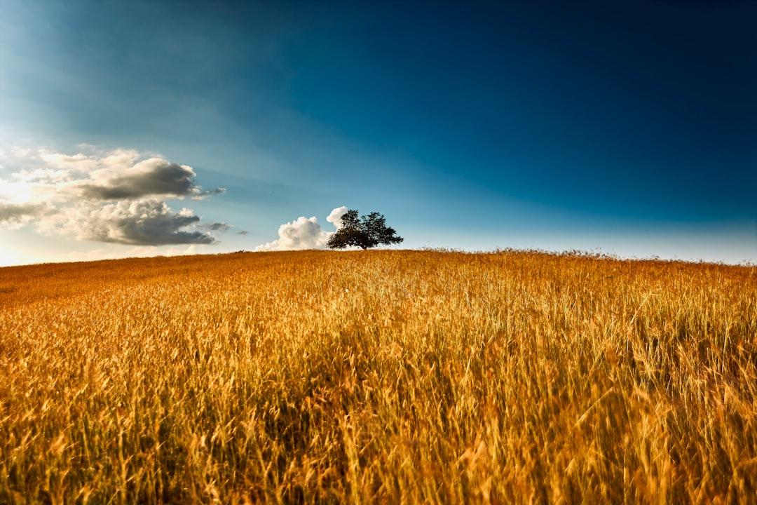 '지원금'을 영어로는 'subsidy'라고 할 수 있습니다.