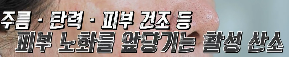 코엔자임큐텐의 효능