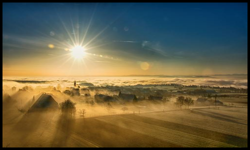 아르기닌 효능 알아보기17