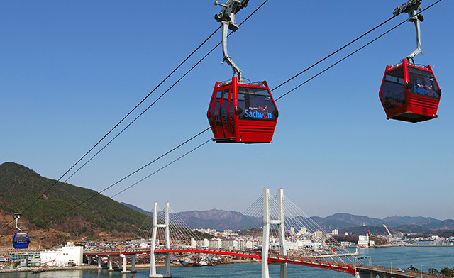 사천시 삼천포항 자연산 전어 완벽 가이드 &amp;#124; 2025년 여름 축제와 맛집 총정리