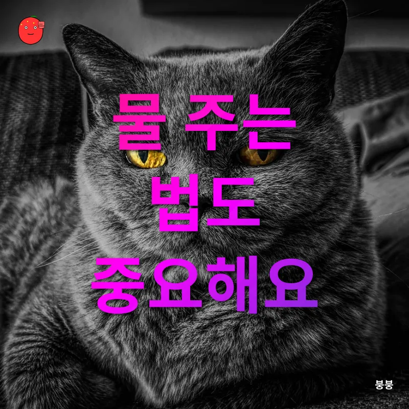 실내 반려식물 관리_2