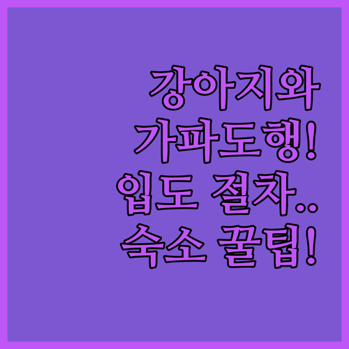 강아지와 가파도 여행 전 확인하는 입..