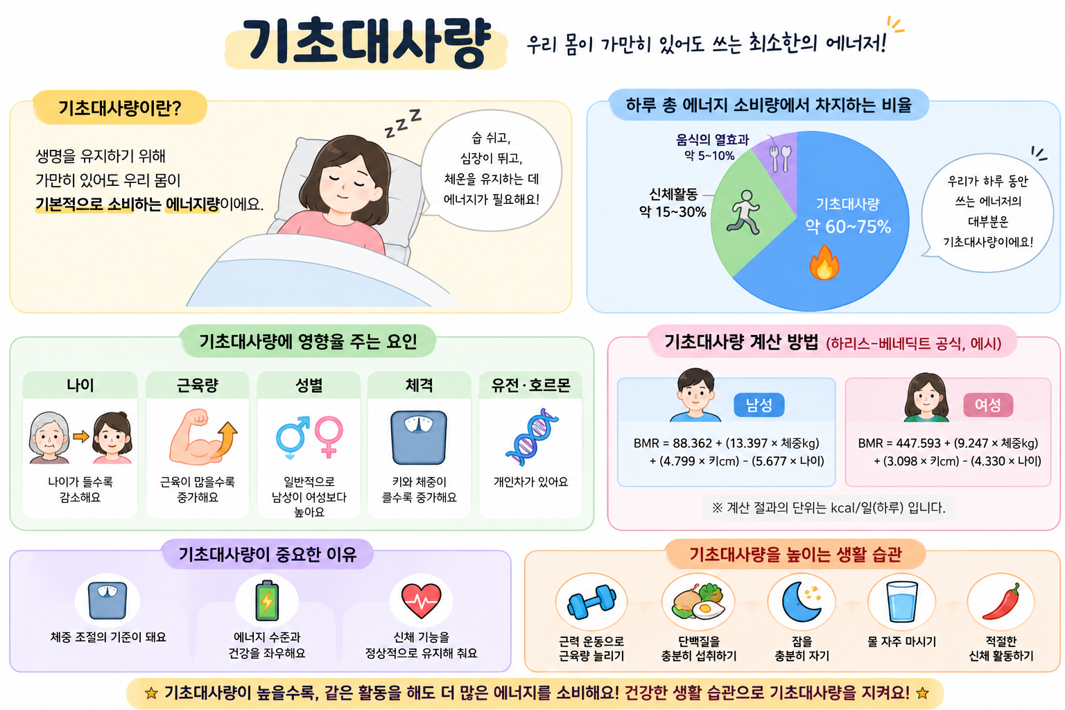 기초대사량 관련 자료