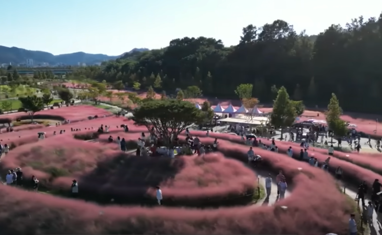 신소양-체육공원