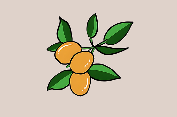 금귤-하루-섭취-권장량