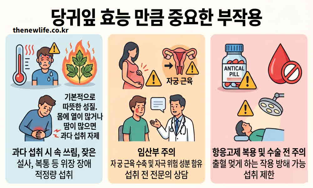 당귀잎 효능 부작용
