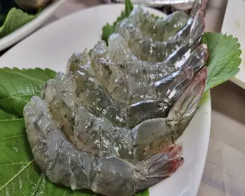 홍성 남당항 대하축제_10