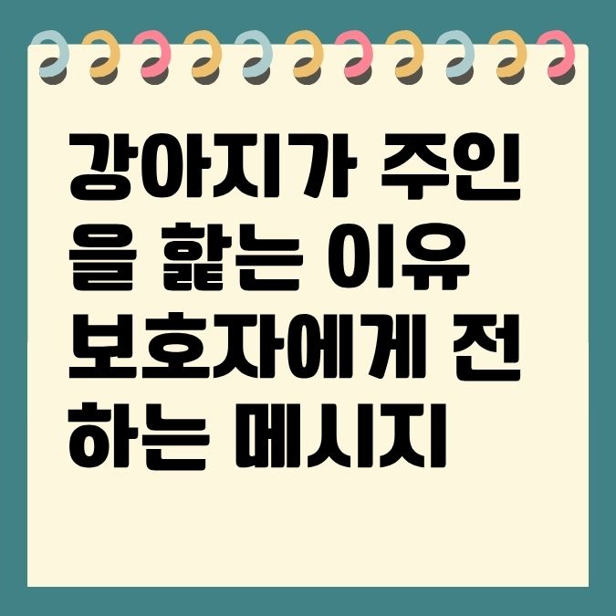 강아지가 주인을 핥는 이유 보호자에게 전하는 메시지