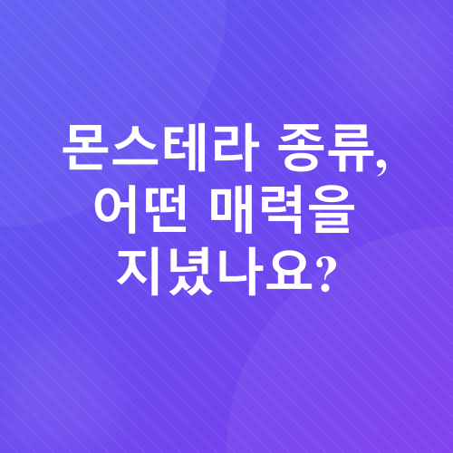 몬스테라 키우기_1