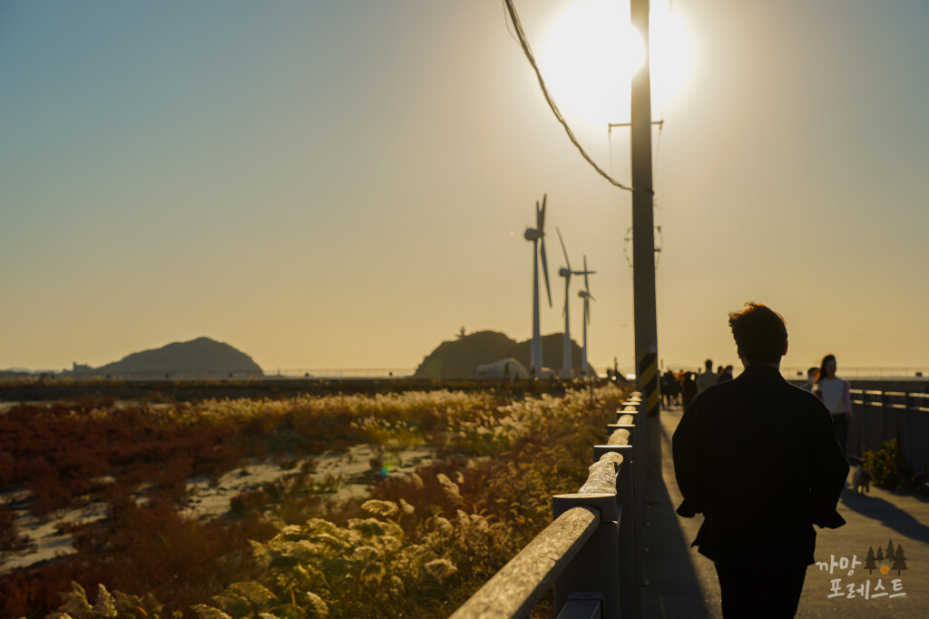 안산 탄도항 일몰