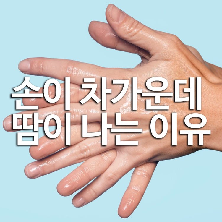 손이 차가운데 땀이 나는 이유
