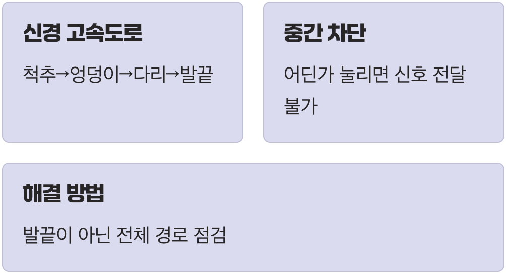 범인은 발이 아닐 수 있어요