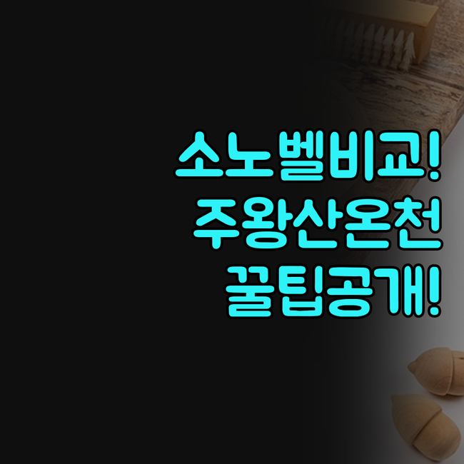 소노벨 청송 주왕산 온천관광호텔 비교..