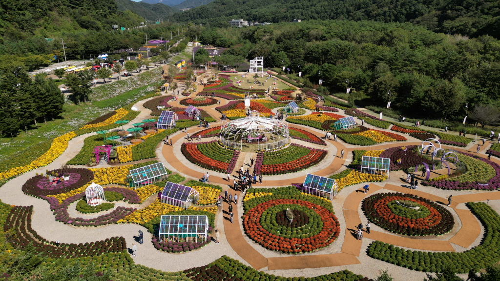 가을나들이 추천 인제가을꽃축제