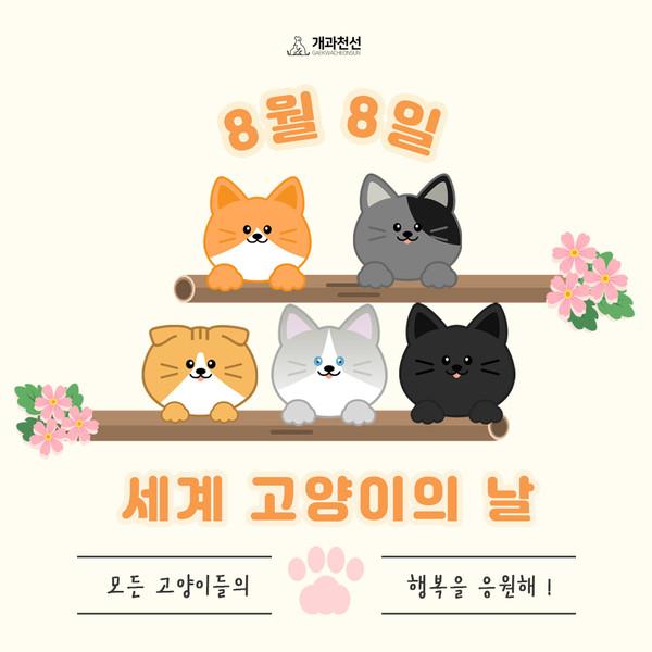 고양이의 날