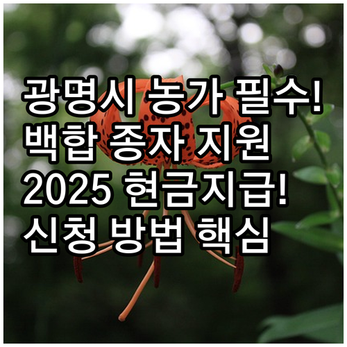 광명시 수출 백합구근 종자 구입비 2..