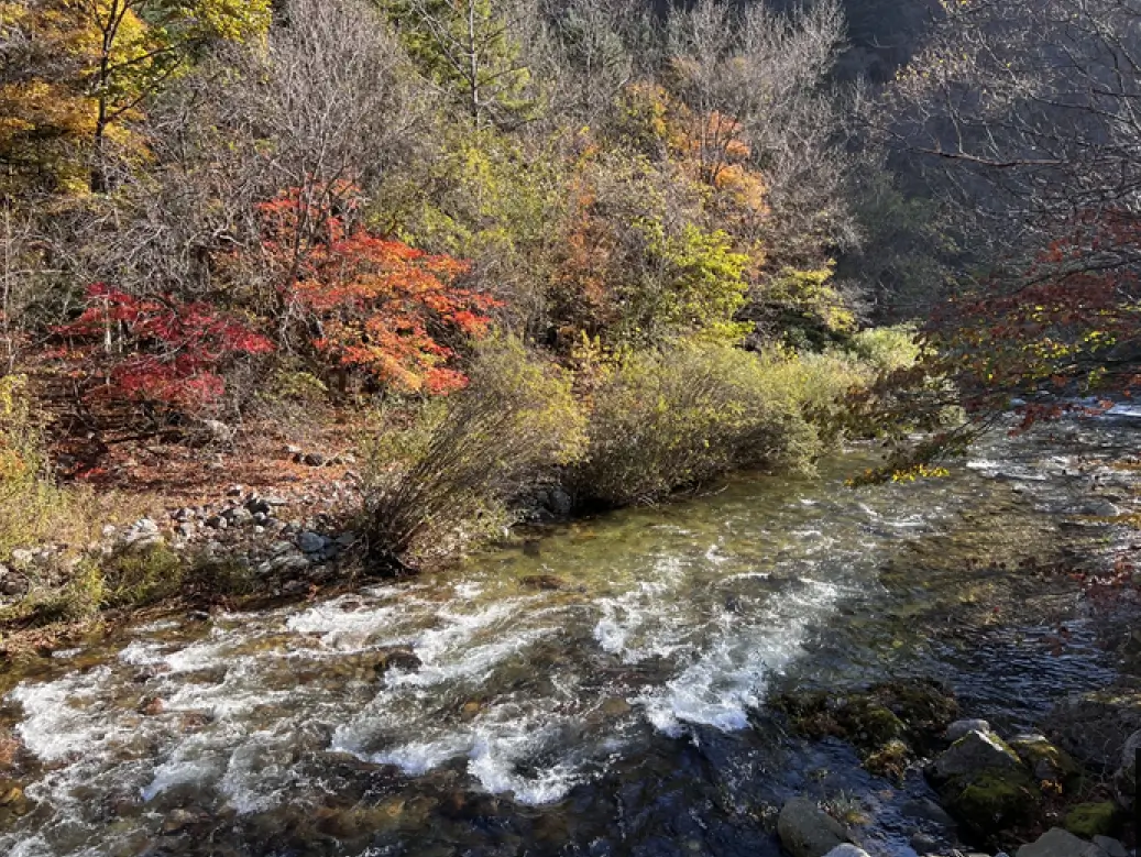 예쁜 단풍 구경하기 좋은 곳, 단풍 시작 시기, 절정시기