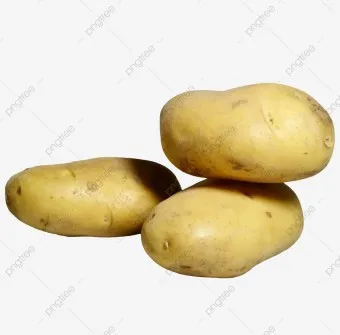 감자 심는 시기 재배 방법_8