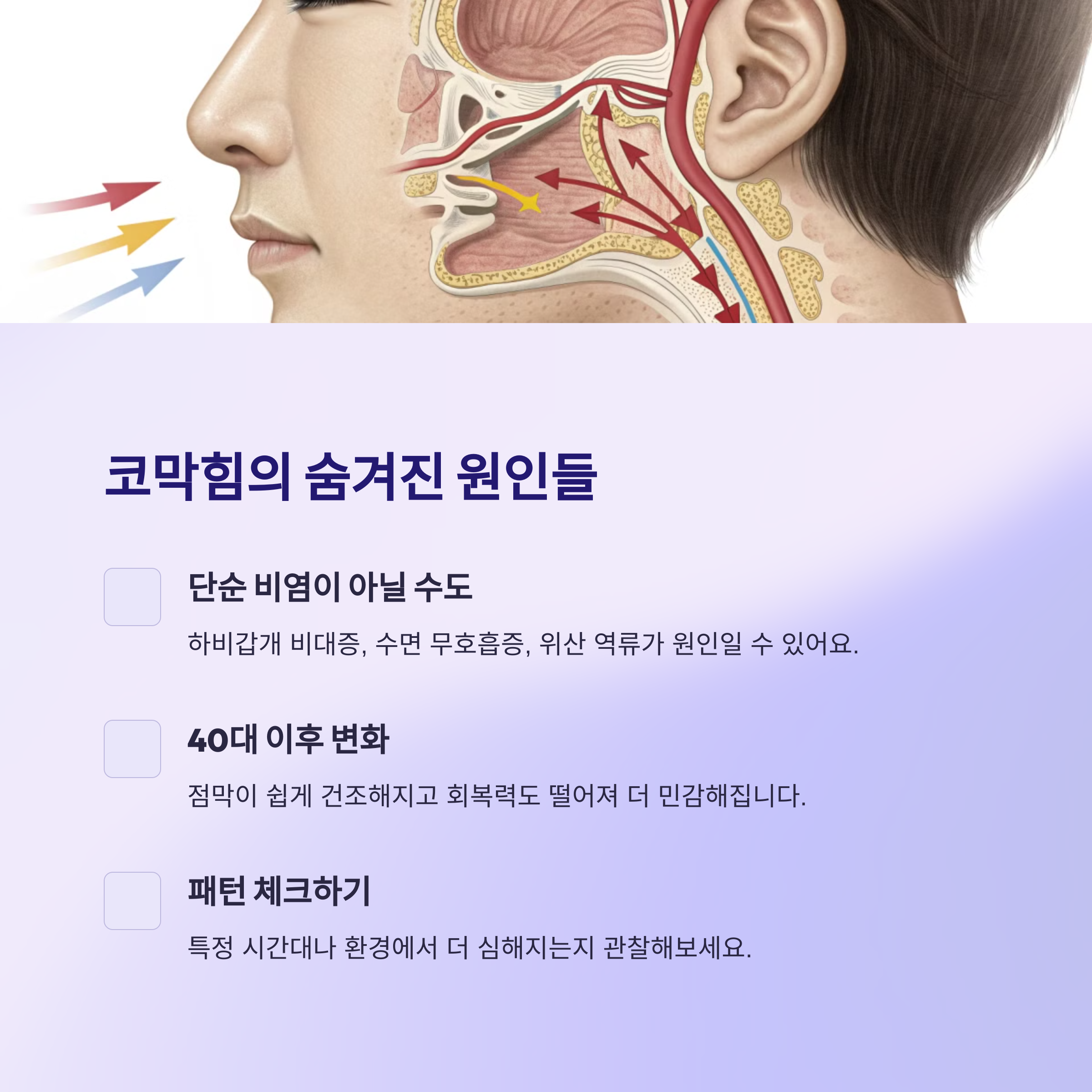 코막힘의 원인
