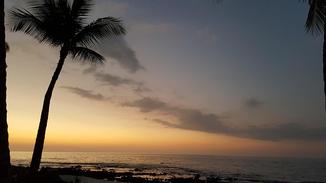 하와이의 가장 큰 섬, 빅아일랜드 여행 가이드 (명소, 액티비티, 맛집, 자연 탐험)