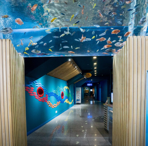 다누리아쿠아리움3