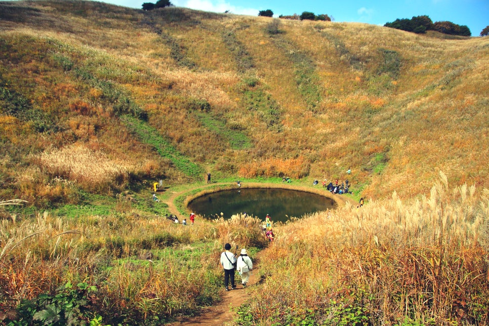 민둥산 억새1