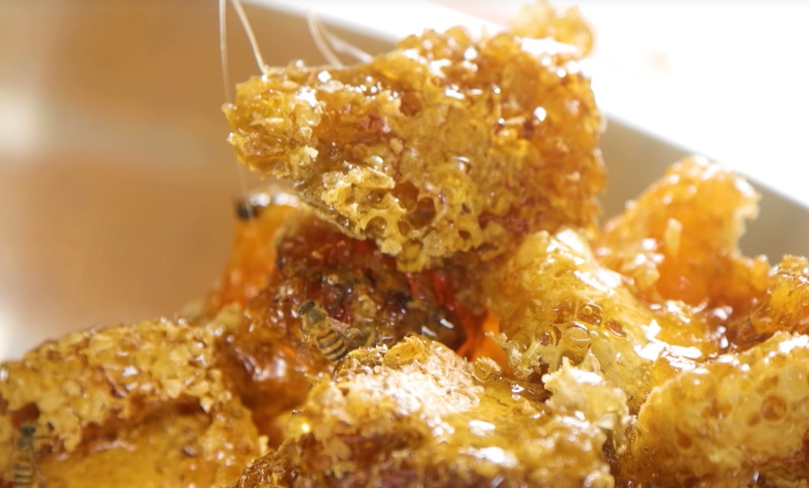 한국기행-토종꿀-강원도-삼척-이건영-주문-택배