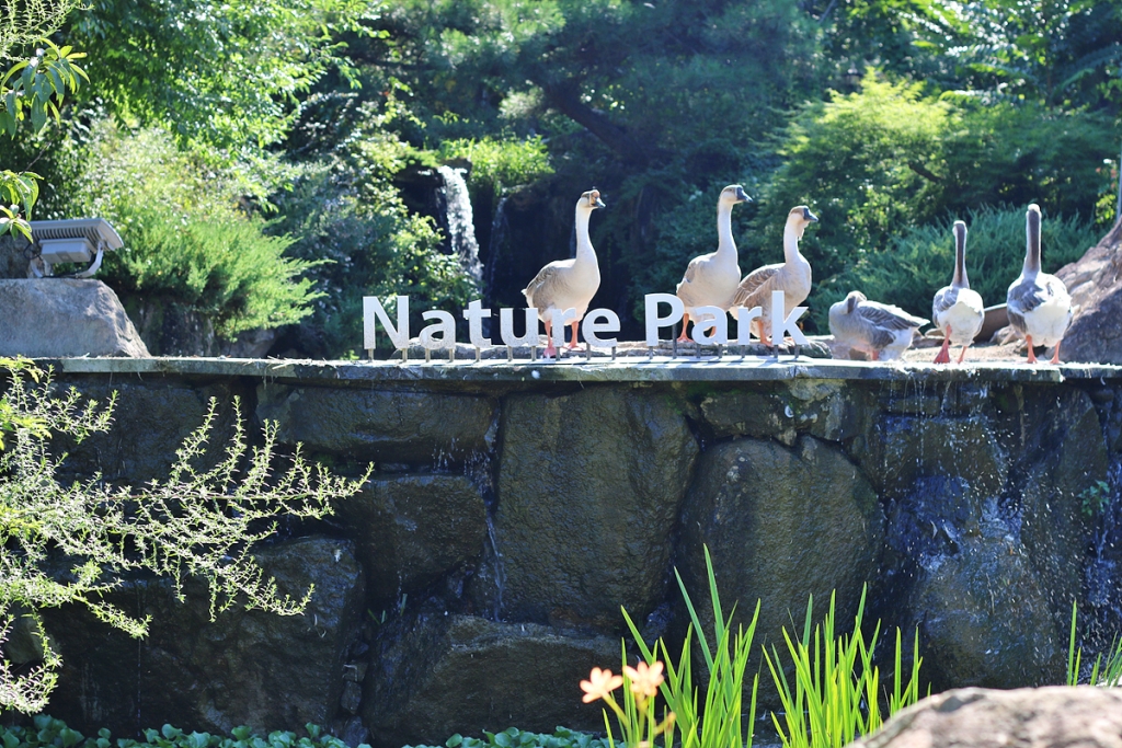 리조트 스파밸리(네이처파크)