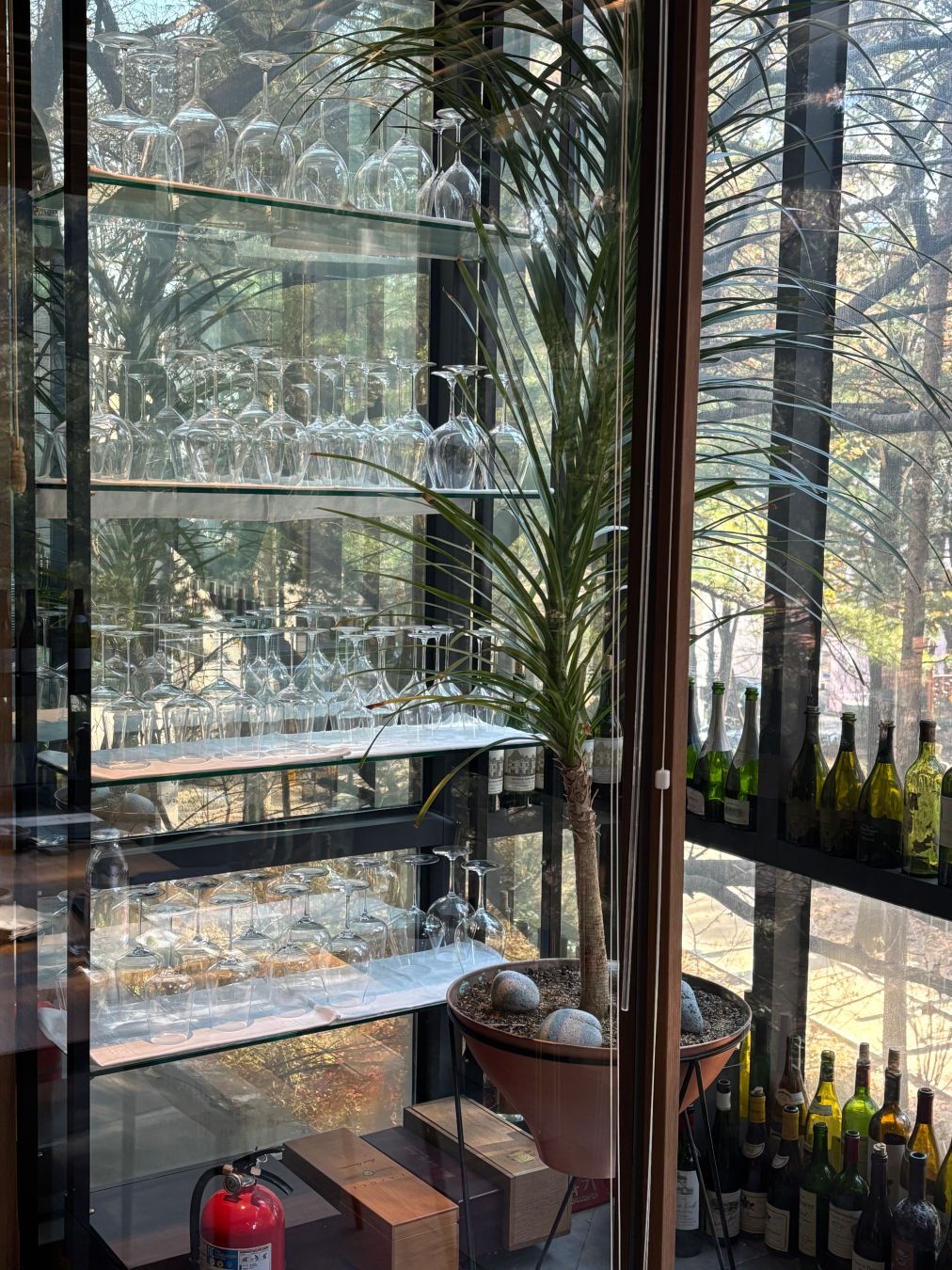 압구정 수린 분위기